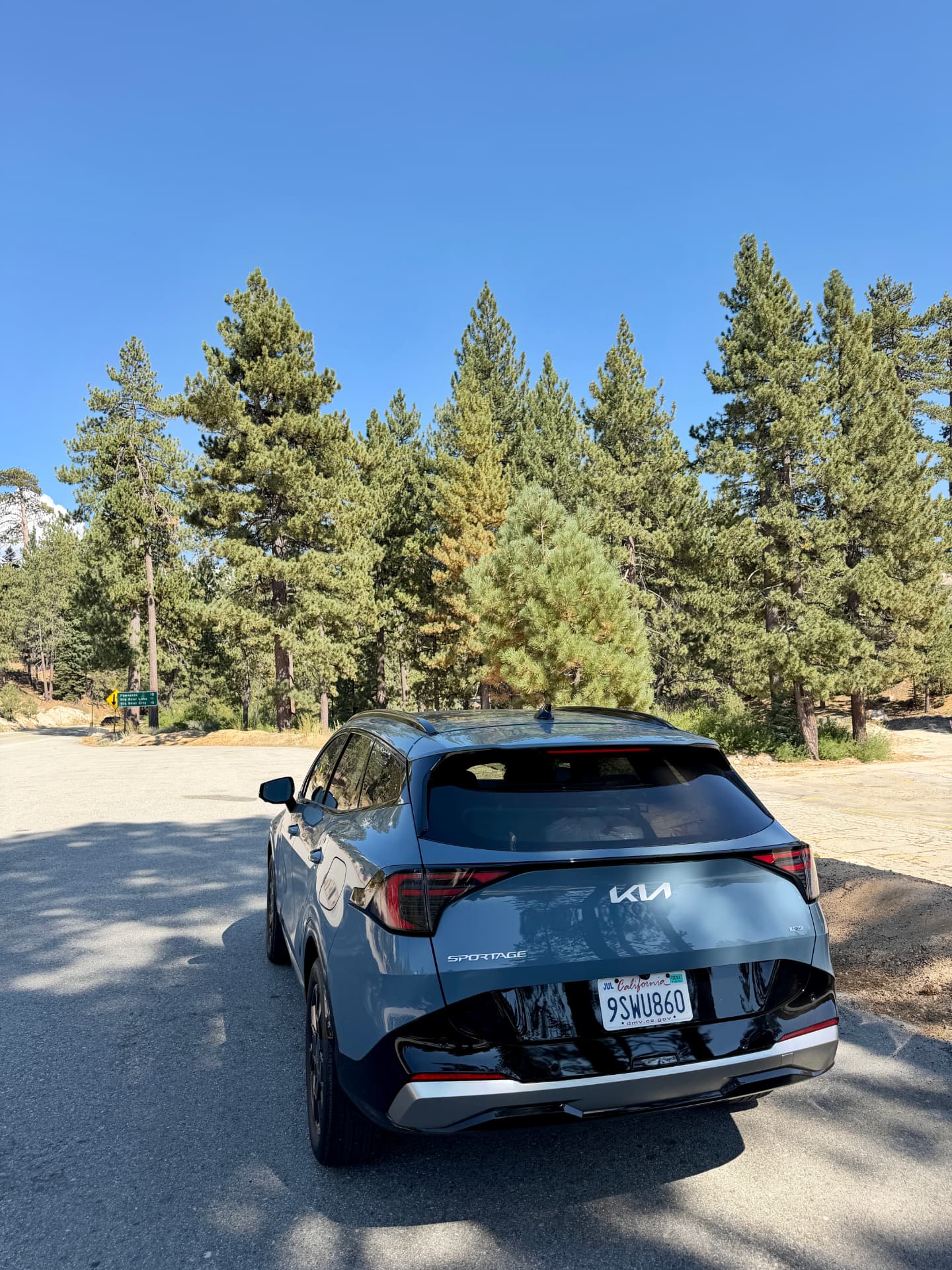 Rear view of the blue Kia Sportage Hybrid parked among pine trees